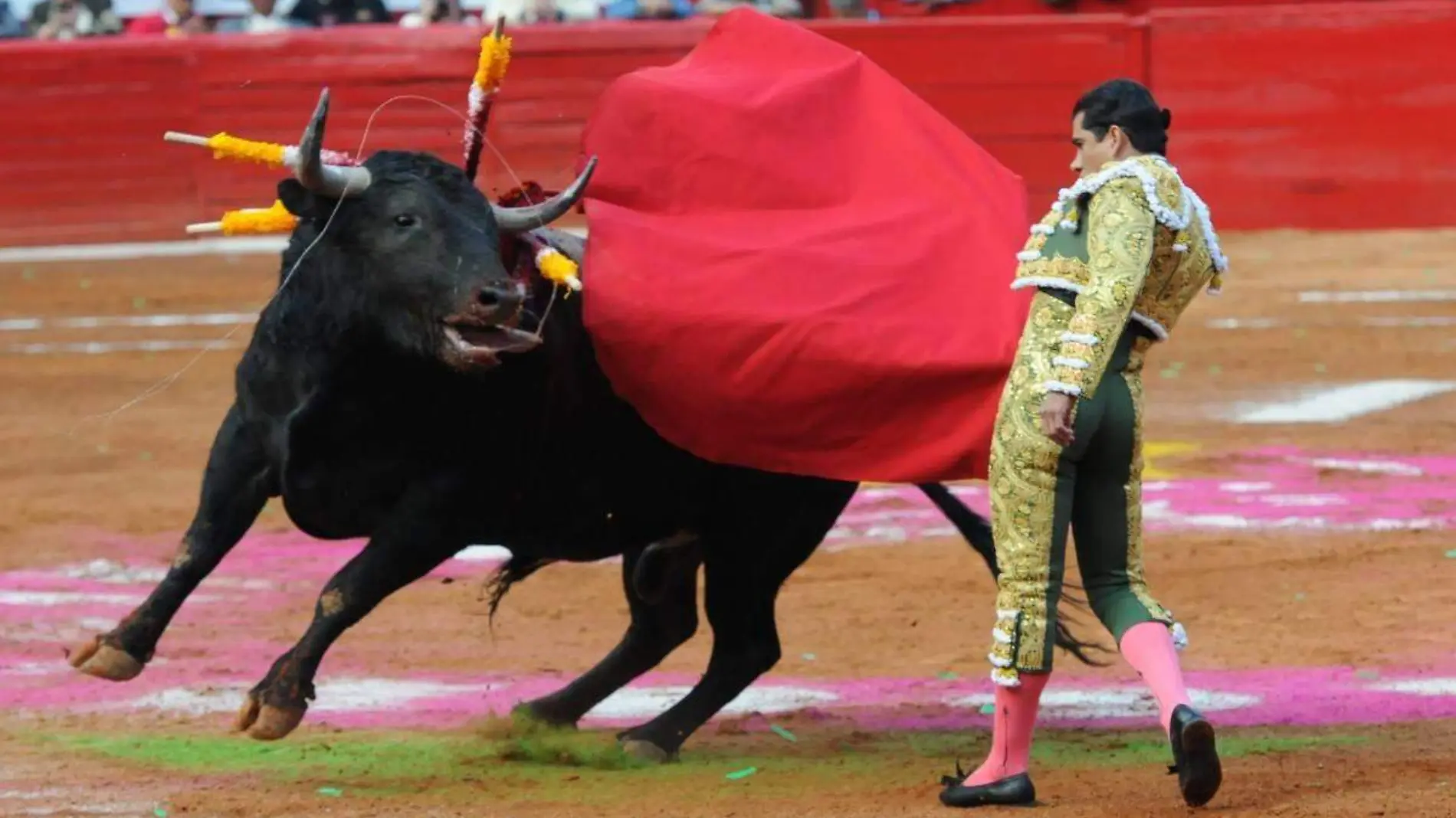 corridas de toros